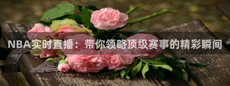 9255tv直播nba在线观看：NBA实时直播：带你领略顶级赛事的精彩瞬间