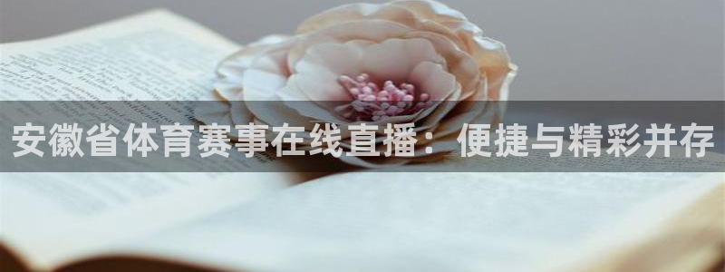 9255tv直播无插件nba：安徽省体育赛事在线直播：便捷与精彩并存