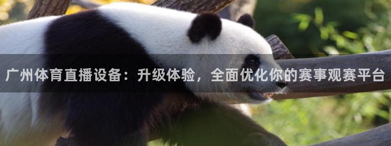 9255tv直播无插件nba：广州体育直播设备：升级体验，全面优化你的赛事观赛平台