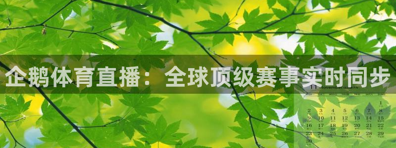 9255tv直播nba在线直播：企鹅体育直播：全球顶级赛事实时同步