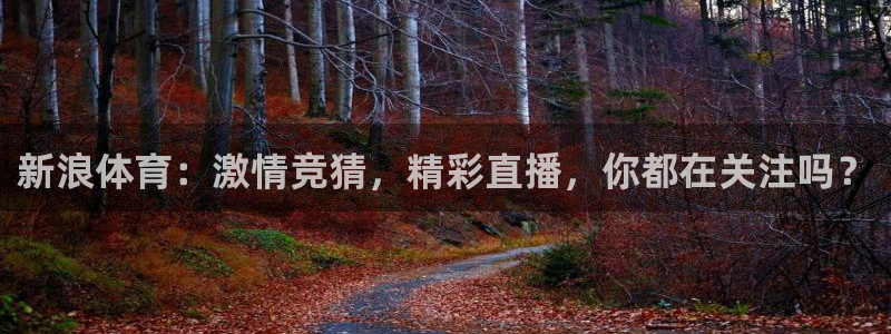 9255tv直播无插件nba：新浪体育：激情竞猜，精彩直播，你都在关注吗？
