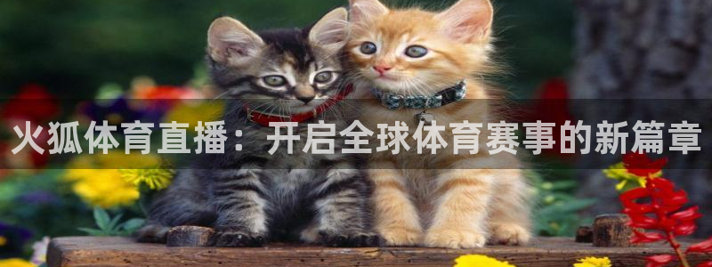 9255tv直播nba在线直播：火狐体育直播：开启全球体育赛事的新篇章
